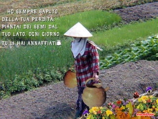 Ho sempre saputo della tua perdita;  piantai dei semi dal tuo lato. Ogni giorno  tu li hai annaffiati”   