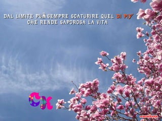 Dal limite può sempre scaturire quel  di più  che rende saporosa la vita 