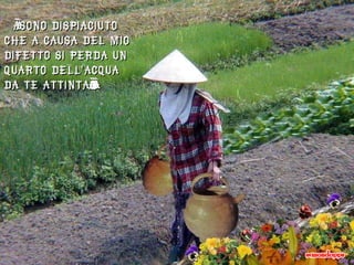 “ Sono dispiaciuto che a causa del mio difetto si perda un quarto dell'acqua da te attinta”  