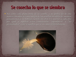 Se cosecha lo que se siembra Así como cada planta brota de su semilla, y no podría ser de otra manera, nuestras acciones surgen de las semillas invisibles de nuestros pensamientos, y no habrían existido sin ellos. Lo anterior es aplicable por igual a aquellos actos considerados "espontáneos" y "no premeditados" como a aquellos que se ejecutan deliberadamente.  