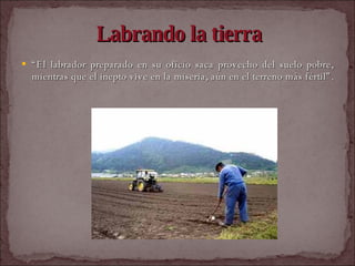 Labrando la tierra “ El labrador preparado en su oficio saca provecho del suelo pobre, mientras que el inepto vive en la miseria, aún en el terreno más fértil”.  