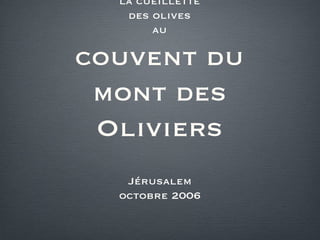 la cueillette des olives au couvent du mont des Oliviers ,[object Object],[object Object]
