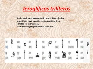 Jeroglíficos trilíteros
Se denominan triconsonánticos (o trilíteros) a los
jeroglíficos cuya transliteración contiene tres
sonidos (consonantes).
Estos son los jeroglíficos más comunes:
 