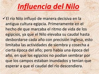 El río Nilo influyó de manera decisiva en la
antigua cultura egipcia. Primeramente en el
hecho de que marcaba el ritmo de vida de los
egipcios, ya que el Nilo elevaba su caudal hasta
desbordarse cada año con precisión inglesa, esto
limitaba las actividades de siembra y cosecha a
cierta época del año; pero había una época del
año, en que los egipcios no podían sembrar por
que los campos estaban inundados y tenían que
esperar a que el caudal del río descendiera.
Influencia del Nilo
 