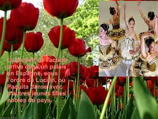 La plupart de l'action arrive dans un palais en Espagne, sous  l'ordre de Lucien, où Paquita danse avec d'autres jeunes filles nobles du pays. Paquita 