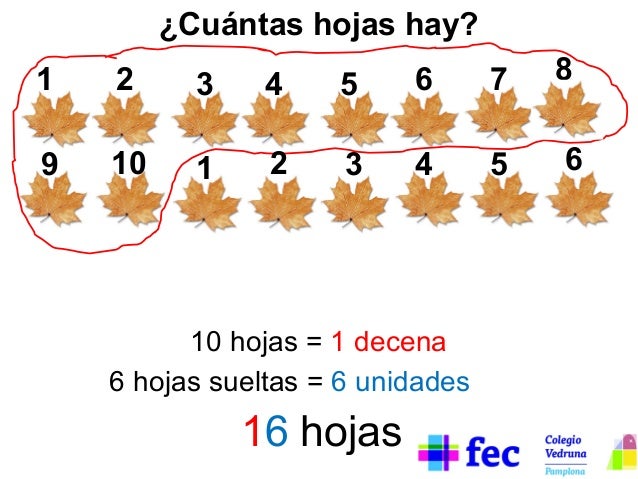 ¿Cuántas hojas hay?
1

2

3

4

9

10

1

2

5

6

7

3

4

5

10 hojas = 1 decena
6 hojas sueltas = 6 unidades

16 hojas
...