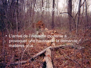 Le Pass é L’arrivé de l’industrie moderne a provoquer une hausse de la demande matières crus.