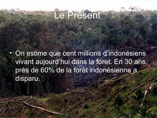 Le Présent On estime que cent millions d’indonésiens vivant aujourd’hui dans la foret. En 30 ans, prés de 60% de la for ê t indonésienne a disparu.