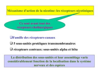 Mécanisme d'action de la nicotine: les récepteurs nicotiniques Ce sont avant tout des récepteurs cholinergiques Famille des récepteurs-canaux 5 sous-unités protéiques transmembranaires récepteurs centraux: sous-unités alpha et bêta La distribution des sous-unités et leur assemblage varie considérablement fonction de la localisation dans le système nerveux et des espèces 