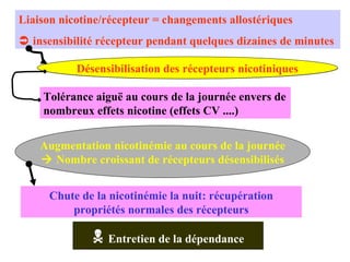 Désensibilisation des récepteurs nicotiniques Tolérance aiguë au cours de la journée envers de nombreux effets nicotine (effets CV ....) Liaison nicotine/récepteur = changements allostériques     insensibilité récepteur pendant quelques dizaines de minutes Augmentation nicotinémie au cours de la journée    Nombre croissant de récepteurs désensibilisés Chute de la nicotinémie la nuit: récupération propriétés normales des récepteurs    Entretien de la dépendance 