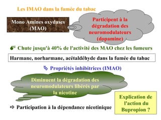 Les IMAO dans la fumée du tabac Mono Amines oxydases (MAO) Participent à la dégradation des neuromodulateurs (dopamine)    Chute jusqu'à 40% de l'activité des MAO chez les fumeurs Harmane, norharmane, acétaldéhyde dans la fumée du tabac    Propriétés inhibitrices (IMAO) Diminuent la dégradation des neuromodulateurs libérés par la nicotine    Participation à la dépendance nicotinique Explication de l'action du Bupropion ? 
