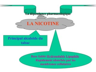 La dépendance pharmacologique LA NICOTINE Principal alcaloïde du tabac Base faible  Hydrosoluble   Lipophile Rapidement absorbée par les membranes cellulaires 