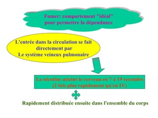 Fumer: comportement "idéal" pour permettre la dépendance L'entrée dans la circulation se fait directement par Le système veineux pulmonaire La nicotine atteint le cerveau en 7 à 19 secondes (2 fois plus rapidement qu'en IV) Rapidement distribuée ensuite dans l'ensemble du corps 
