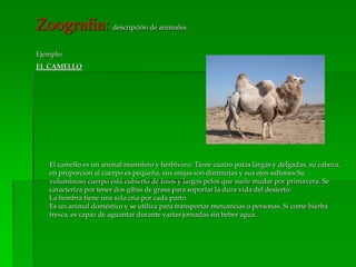 Zoografía: descripción de animales.
Ejemplo:
EL CAMELLO
El camello es un animal mamífero y herbívoro. Tiene cuatro patas largas y delgadas, su cabeza,
en proporción al cuerpo es pequeña, sus orejas son diminutas y sus ojos saltones.Su
voluminoso cuerpo está cubierto de finos y largos pelos que suele mudar por primavera. Se
caracteriza por tener dos gibas de grasa para soportar la dura vida del desierto.
La hembra tiene una sola cría por cada parto.
Es un animal doméstico y se utiliza para transportar mercancías o personas. Si come hierba
fresca, es capaz de aguantar durante varias jornadas sin beber agua.
 