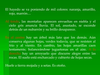 El hayedo se va poniendo de mil colores: naranja, amarillo,
rojo, marrón…
Al fondo, las montañas aparecen envueltas en niebla y el
cielo gris anuncia lluvia. El sol, asustado, se esconde
detrás de un nubarrón y su brillo desaparece.
En el centro hay un árbol más lato que los demás. Aún
conserva algunas hojas, verdes todavía, que se resisten al
frío y al viento. En cambio, las hojas amarillas caen
lentamente, balanceándose juguetonas en el aire. A la
derecha hay un arroyuelo que discurre alegre entre las
rocas. El suelo está encharcado y cubierto de hojas secas.
Huele a tierra mojada y a setas. Es otoño.
 