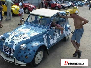 Dalmatiens
 