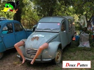 Deux Pattes
 