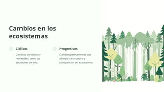 Cambios en los
ecosistemas
Cíclicos
Cambios periódicos y
reversibles, como las
estaciones del año.
Progresivos
Cambios permanentes que
alteran la estructura y
composición del ecosistema.
 