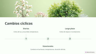 Cambios cíclicos
1
Diarios
Ciclos de luz y oscuridad, temperatura.
2
Estacionales
Cambios en las lluvias, temperaturas, duración del día.
3
Largo plazo
Ciclos de sequía o inundaciones.
 