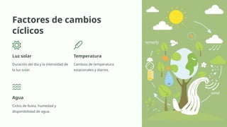 Factores de cambios
cíclicos
Luz solar
Duración del día y la intensidad de
la luz solar.
Temperatura
Cambios de temperatura
estacionales y diarios.
Agua
Ciclos de lluvia, humedad y
disponibilidad de agua.
 