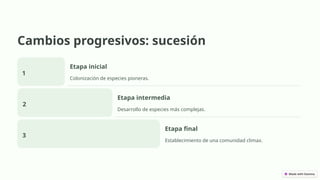 Cambios progresivos: sucesión
1
Etapa inicial
Colonización de especies pioneras.
2
Etapa intermedia
Desarrollo de especies más complejas.
3
Etapa final
Establecimiento de una comunidad climax.
 