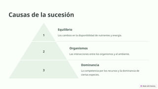 Causas de la sucesión
1
Equilibrio
Los cambios en la disponibilidad de nutrientes y energía.
2
Organismos
Las interacciones entre los organismos y el ambiente.
3
Dominancia
La competencia por los recursos y la dominancia de
ciertas especies.
 