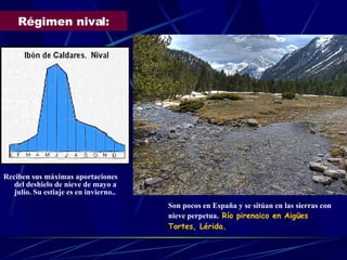 Régimen nival: Reciben sus máximas aportaciones del deshielo de nieve de mayo a julio. Su estiaje es en invierno.. Son pocos en España y se sitúan en las sierras con nieve perpetua.   Río pirenaico en Aigües Tortes, Lérida. 