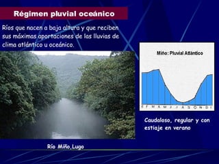 Régimen pluvial oceánico Ríos que nacen a baja altura y que reciben sus máximas aportaciones de las lluvias de clima atlántico u oceánico. Caudaloso, regular y con estiaje en verano Río Miño,Lugo 