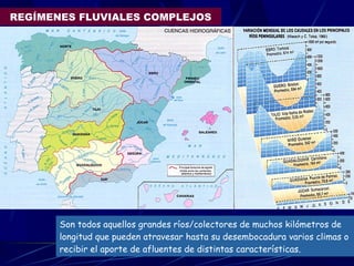 REGÍMENES FLUVIALES COMPLEJOS Son todos aquellos grandes ríos/colectores de muchos kilómetros de longitud que pueden atravesar hasta su desembocadura varios climas o recibir el aporte de afluentes de distintas características. 