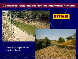 Conceptos relacionados con los regímenes fluviales ESTIAJE Fuertes estiajes de ríos mediterráneos. 