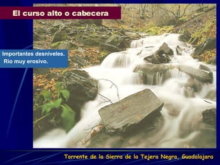 El curso alto o cabecera Importantes desniveles. Río muy erosivo. Torrente de la Sierra de la Tejera Negra, Guadalajara 