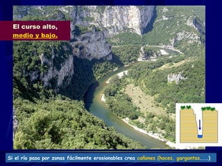 El curso alto,  medio y bajo. Si el río pasa por zonas fácilmente erosionables crea  cañones (hoces, gargantas ....) 