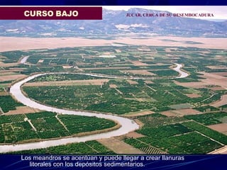 CURSO BAJO Los meandros se acentúan y puede llegar a crear llanuras litorales con los depósitos sedimentarios.  JUCAR, CERCA DE SU DESEMBOCADURA 