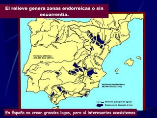 El relieve genera zonas endorreicas o sin escorrentía. En España no crean grandes lagos, pero sí interesantes ecosistemas 