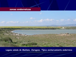 zonas endorreicas Laguna salada de Mediano, Zaragoza. Típico encharcamiento endorreico 