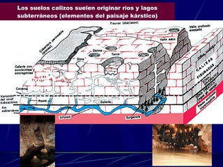 Los suelos calizos suelen originar ríos y lagos subterráneos (elementos del paisaje kárstico) 