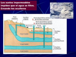 Los suelos impermeables impiden que el agua se filtre. Creando los acuíferos 