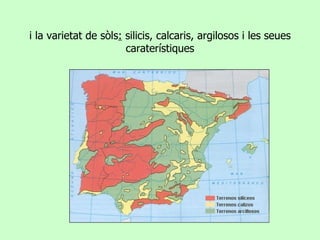 i la varietat de sòls :  silicis, calcaris, argilosos i les seues caraterístiques 