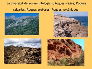 La diversitat del rocam (litologia):   Roques silícies ;  Roques calcàries; Roques argiloses ;  Roques volcàniques   