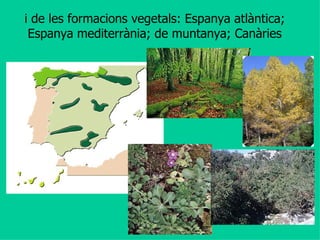 i de les formacions vegetals: Espanya atlàntica; Espanya mediterrània; de muntanya; Canàries 