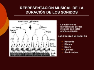 REPRESENTACIÓN MUSICAL DE LA DURACIÓN DE LOS SONIDOS La duración es representada por los músicos con estas grafías o signos:  LAS FIGURAS MUSICALES Redonda Blanca Negra Corchea Semicorchea  