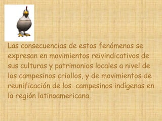 Las consecuencias de estos fenómenos se expresan en movimientos reivindicativos de sus culturas y patrimonios locales a nivel de los campesinos criollos, y de movimientos de reunificación de los  campesinos indígenas en la región latinoamericana.   