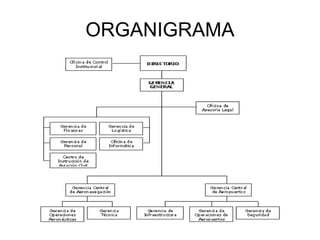 ORGANIGRAMA 