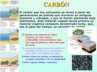             
El carbón que hoy utilizamos se formó a partir de
generaciones de plantas que murieron en antiguos
pantanos y ciénagas, y que se fueron asentando bajo
sedimentos. Este material vegetal formó primero un
material orgánico compacto denominado turba, que,
con el paso del tiempo, se convirtió en carbón.
El carbón es un mineral de origen 
orgánico, de color negro y 
combustible. Suele localizarse bajo 
una capa de pizarra y sobre una capa 
de arena. 
Se cree que la mayor parte del carbón fue 
formada durante la era carbonífera 
(hace 280 a 345 millones de años). 
Existen 4 tipos de carbón, en función de 
su poder calorífico y de su antigüedad: 
Turba, Lignito, Hulla y Antracita.
CARBÓNCARBÓN
 