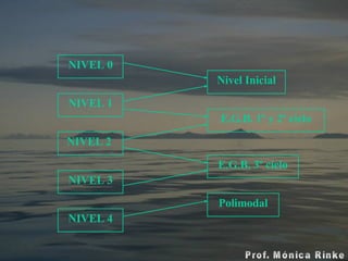 NIVEL 0 NIVEL 1 NIVEL 2  NIVEL 3 Nivel Inicial E.G.B. 1º y 2º ciclo E.G.B. 3º ciclo Polimodal NIVEL 4 