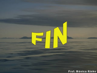 FIN 