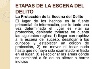 ETAPAS DE LA ESCENA DEL
DELITO
La Protección de la Escena del Delito
El lugar de los hechos es la fuente
primordial de información, por lo tanto una
vez determinado el lugar es vital su
protección, debiendo tomarse en cuenta
las siguientes reglas: 1) llegar con rapidez
a la escena del suceso, desalojar a los
curiosos y establecer un cordón de
protección, 2) no mover ni tocar nada
hasta que no haya sido examinado ni fijado
en el lugar, 3) seleccionar las áreas donde
se caminará a fin de no alterar o borrar
indicios
 