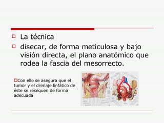 La técnica  disecar, de forma meticulosa y bajo visión directa, el plano anatómico que rodea la fascia del mesorrecto.  Con ello se asegura que el tumor y el drenaje linfático de éste se resequen de forma adecuada  