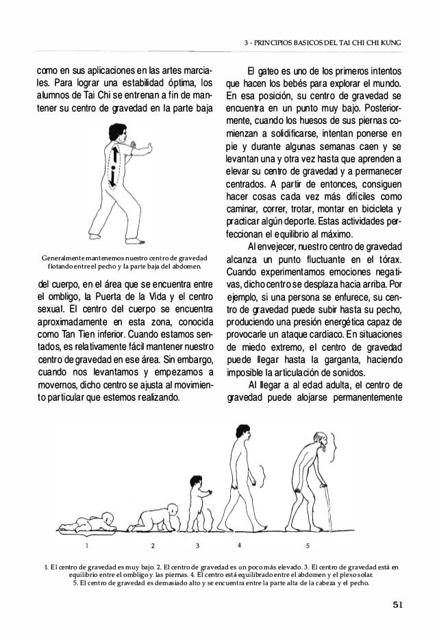 La Estructura Interna Del Tai Chi