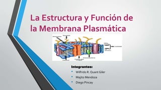 La Estructura y Función de
la Membrana Plasmática
Integrantes:
• Wilfrido R. Quant Giler
• Majito Mendoza
• Diego Pincay
 